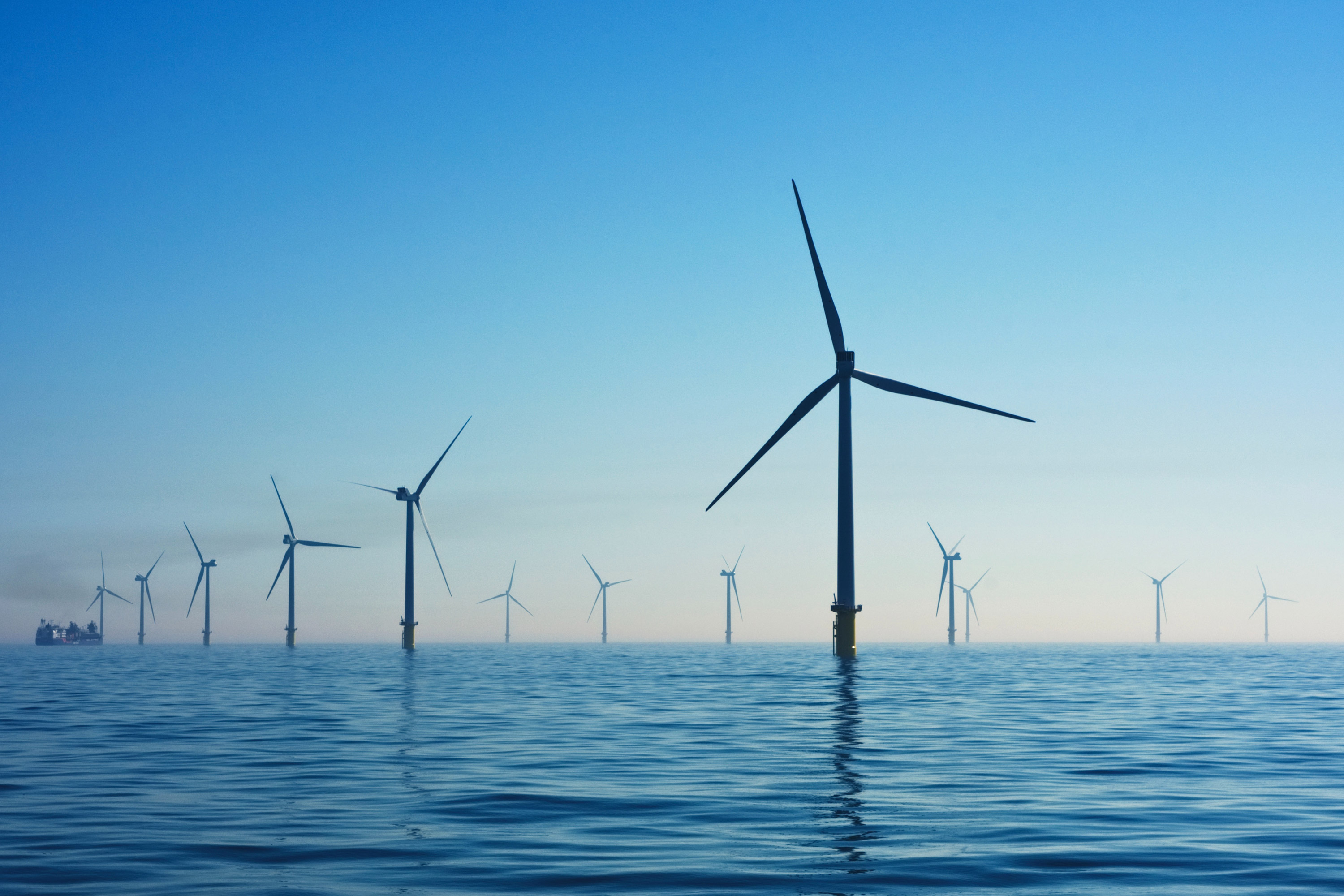 Sustainability