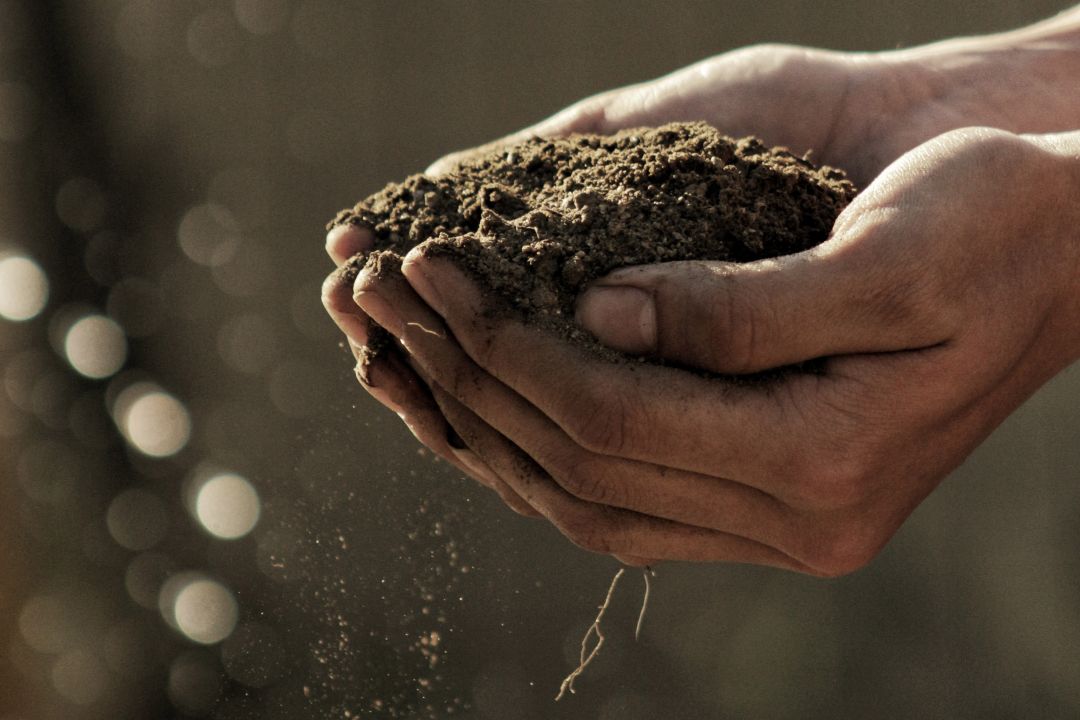 Sustainability