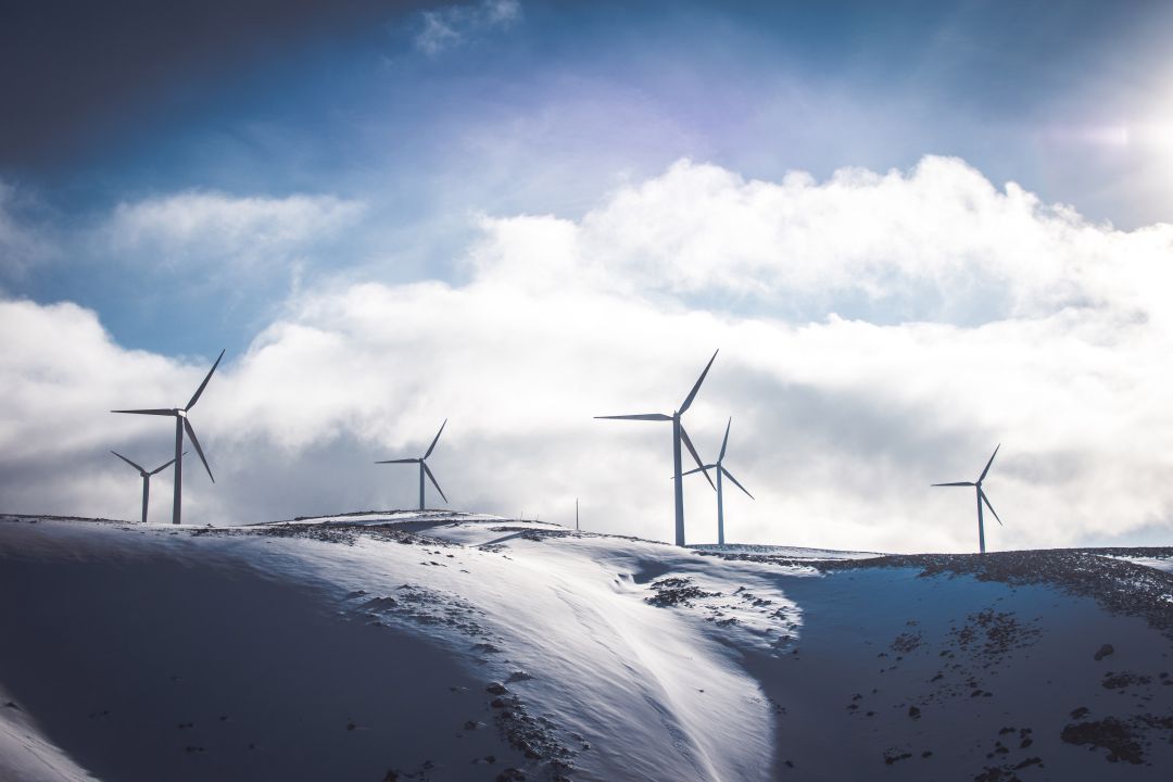 Sustainability