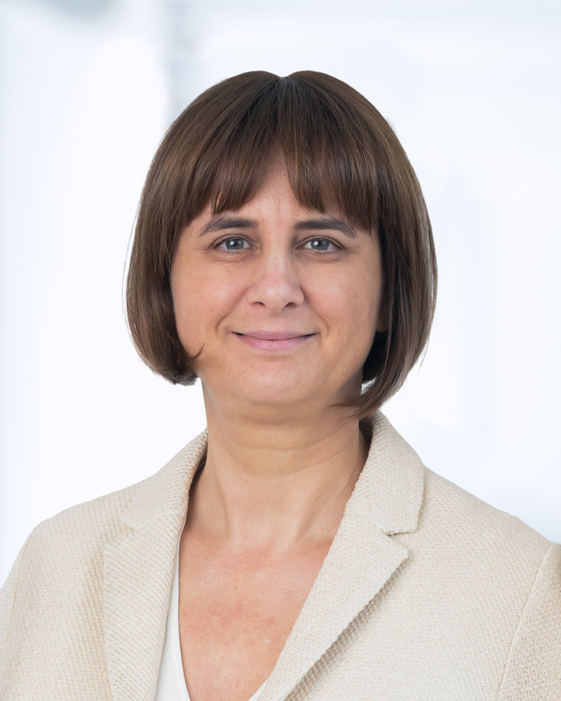 Corporate Governance Report