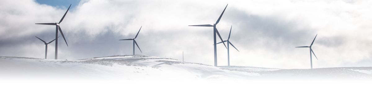 Sustainability Report