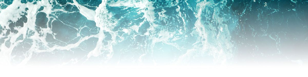 Sustainability Report